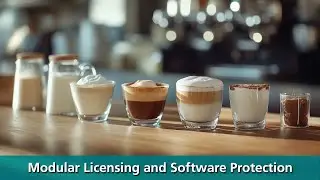 Modular licensing and software protection