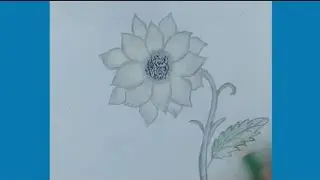 easy sunflower drawing/how to draw sunflower/step by step sunflower sketching.#basic,#sketching