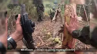 တနိုင်း ပယင်းမှော်နဲ့ ရွှေမှော်ဒေသတွေကို မင်းဇေသန့်ပြည်သူ့စစ်အဖွဲ့က ထိုးစစ်ဆင်နေ