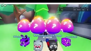 Hatching Starlight Catcher On Camera MS2 -1/500K