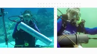 The Sounds of Biodiversity