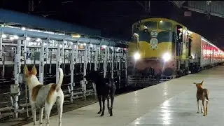 Dogs not Allowing WDS6 to Enter Platform of Bhusawal Junction|Frightened Loco WDS6 Goes Back to Shed