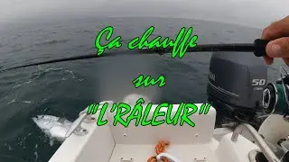 Bonites et thons en chasse devant Frontignan