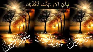 #talawat #quran​  #surah​ #rahman​ #no55​ #eapisode​:sr333  #surah​rehman#  #الرحمن# سورہ​ الرحمن ✈