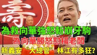 新义安嘅“大总管”林江有几犀利？为咗救向华强，佢发火斩崩牙驹；为咗向华胜，佢直斥杨老板；“东方马”俾佢摑咗一巴，连吭都唔敢吭！