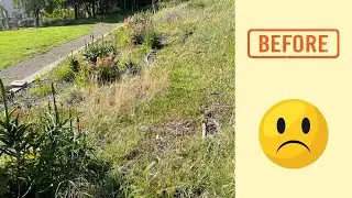 Redwood Heights Earth Day Park Clean-Up 2022