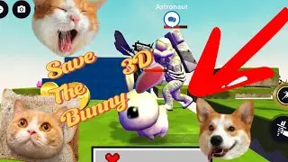 Save The Bunny 3D‼️‼️