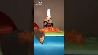 el hur&oacute;n cocinero!🤣❤️1
