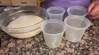 Let Make Sourdough Pizza Dough #sourdoughpizza #sourdough 