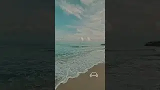 #ocean #freedom