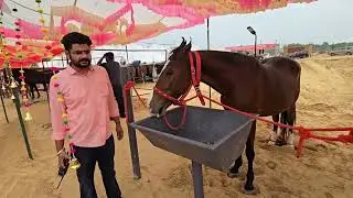 Deep Bhai 💢Punjab💢 Saribadha Lava🤘