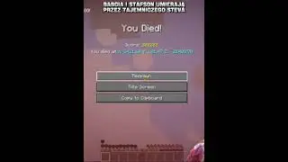 BabciaMarysia I Stafson💀 #minecraft #anarchiasmp #memes #edit #4fun #gaming #video #funny #viral