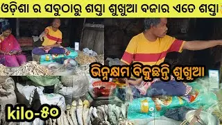 ଓଡ଼ିଶା ର ସବୁଠାରୁ ଶସ୍ତା ଶୁଖୁଆ ବଜାର | Dry Fish Market In Odisha | Fish Market In Odisha | Odia Vlog