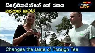 Changes the taste of #Foreign Tea විදේශිකයින්ගේ තේ රසය වෙනස් කරයි Badulupura News බදුලුපුර නිවුස්