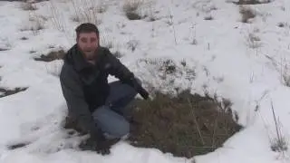 Where the deer sleep