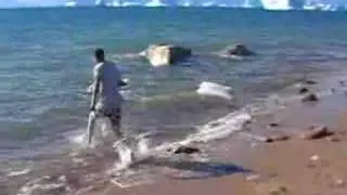 arctic swim