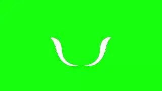 White Wings Effect   Green Screen