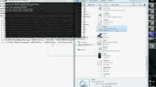 Flyff Private Server v15 help