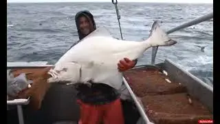 Fishing / Products Millions Tons Of Seafood Every day / Asian seafood Processing Factory