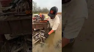 Do Crawfish Boats Crush Crawfish? 🦞🚣&zwj;♂️