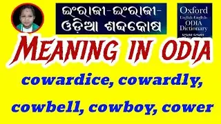 cowardice, cowardly, cowbell, cowboy, cower Meaning In Odia | Class 11th English Grammar In Odia