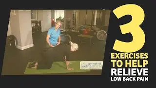 3 Strengthening Exercises for Low Back Pain | Chiropractor for Lower Back Pain in Springfield, IL
