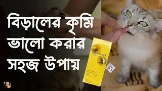 বিড়ালের কৃমির ঔষধ - Cat Deworming -  Helminticide L - Pet House BD