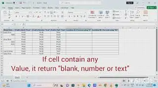 use of isblank, isnumber, istext