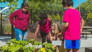 Stanford students collaborate in local classrooms