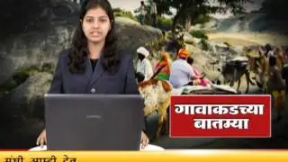 7 Star News 5.4.2017