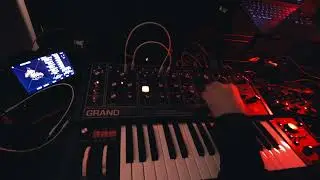 #jamuary2026 #26 Moog Grandmother & RMLFX 432k