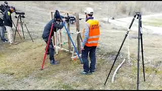DLR Stage 8 , Precision Rifle , prs , first national championship , Spilimbergo , 19 Mars 2023