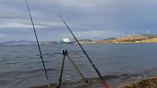 Gencelli Fo&ccedil;a Kıyıdan Balık denemeleri .