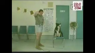 Animal Anti Cruelty League - Treats & Rough (2006, South Africa)