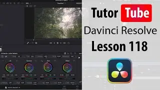 Davinci Resolve Tutorial - Lesson 118 - Subtitle Exporting Options