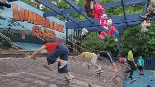 Wonderland ladder game 2025