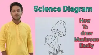 How To Draw Mushroom Diagram//Easy Mushroom Diagram//Mushroom #creativeartist #biology #mushroom 