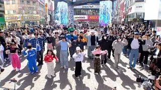 실제 아이돌이 케이팝 랜덤플레이댄스에 나타난다면?😳 | KPOP RANDOM PLAY DANCE with.BXB | ENJ 엔제이