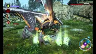 Storm Coast dragon fight with a knight enchanter: Dragon Age Inquisition