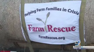Farm Rescue Donates Hay To Flood Victims