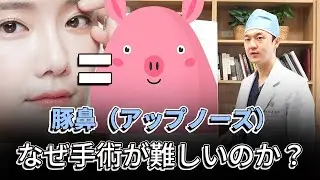 豚鼻（アップノーズ）なぜ手術が難しいのか？