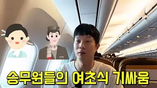 두쫀쿠 50개 먹은 언니, 대한항공 vs 아시아나 승무원