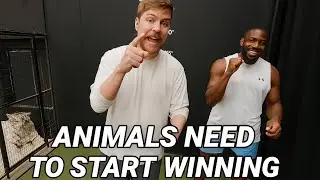 The Tiger A Sky-High Showdown | mrBeast | 02
