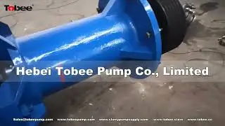 Tobee&reg; 200SV SP vertical spindle slurry pump Africa 13