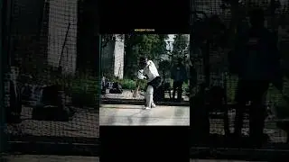 T20NPL cricket Trial.. #crickethighlights #cricket #cricketvideo #tranding #localmatch #cricketfans