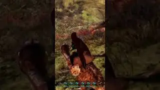 terror birds 🦤🦤🦤 #arksurvivalascended #gaming #games #gameplay #ark