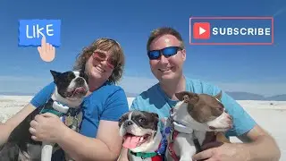 Traveling with Terriers