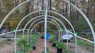 Winter Prep | Homemade Poly Tunnel | Will It Work