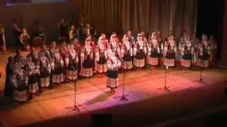 Ой летіли гуси з броду Волинський народний хор Українська народна пісня Ukrainian folk song music
