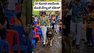 50 ಕೋಟಿ ನಾಯಿಯ ಜೊತೆ ಬಿಗ್ಬಾಸ್ ಸತೀಶ್😲😍